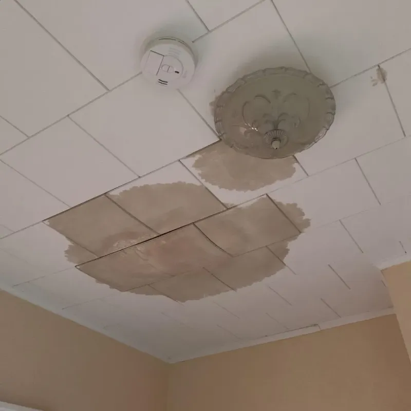 Ceiling Water Damage Repair in West Union, WV