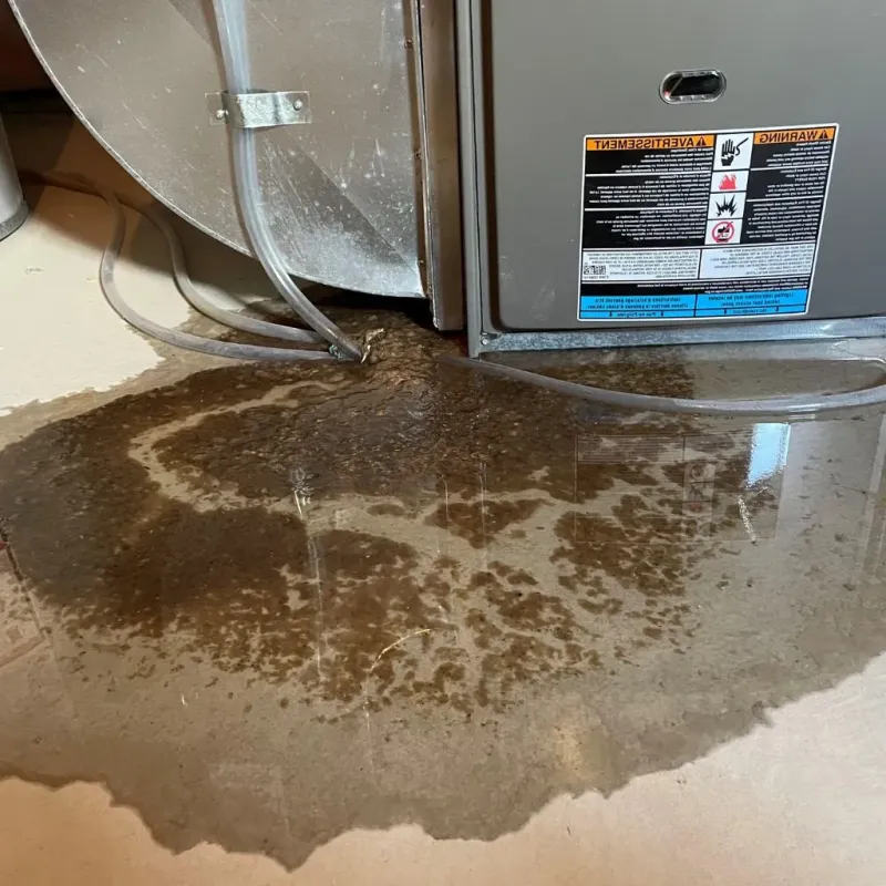 Pipe Burst and Leak Restoration in West Union, WV