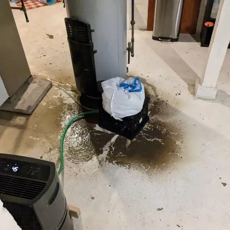 Sewage Backup Cleanup Service in West Union, WV